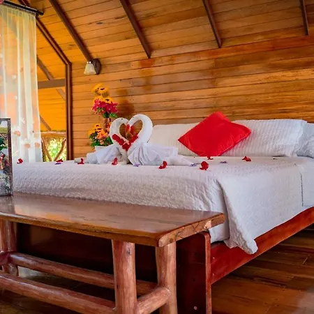 Suchipakari Amazon Eco -Lodge & Jungle Reserve Misahualli Exterior photo