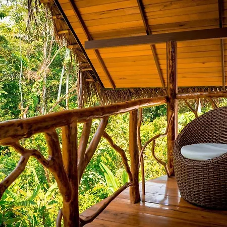 Suchipakari Amazon Eco -Lodge & Jungle Reserve Misahualli Exterior photo