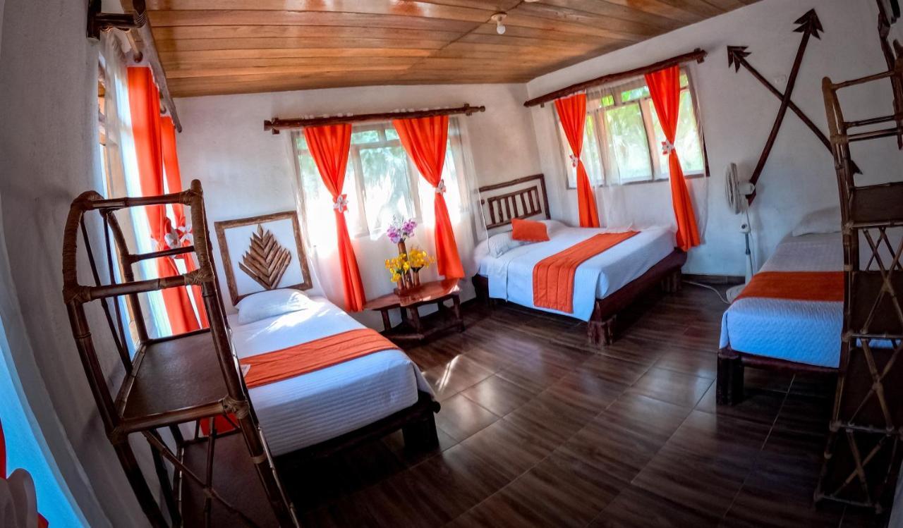 Lodge Suchipakari Amazon Eco -lodge & Jungle