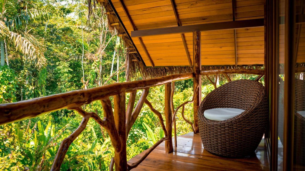 Lodge Suchipakari Amazon Eco -lodge & Jungle