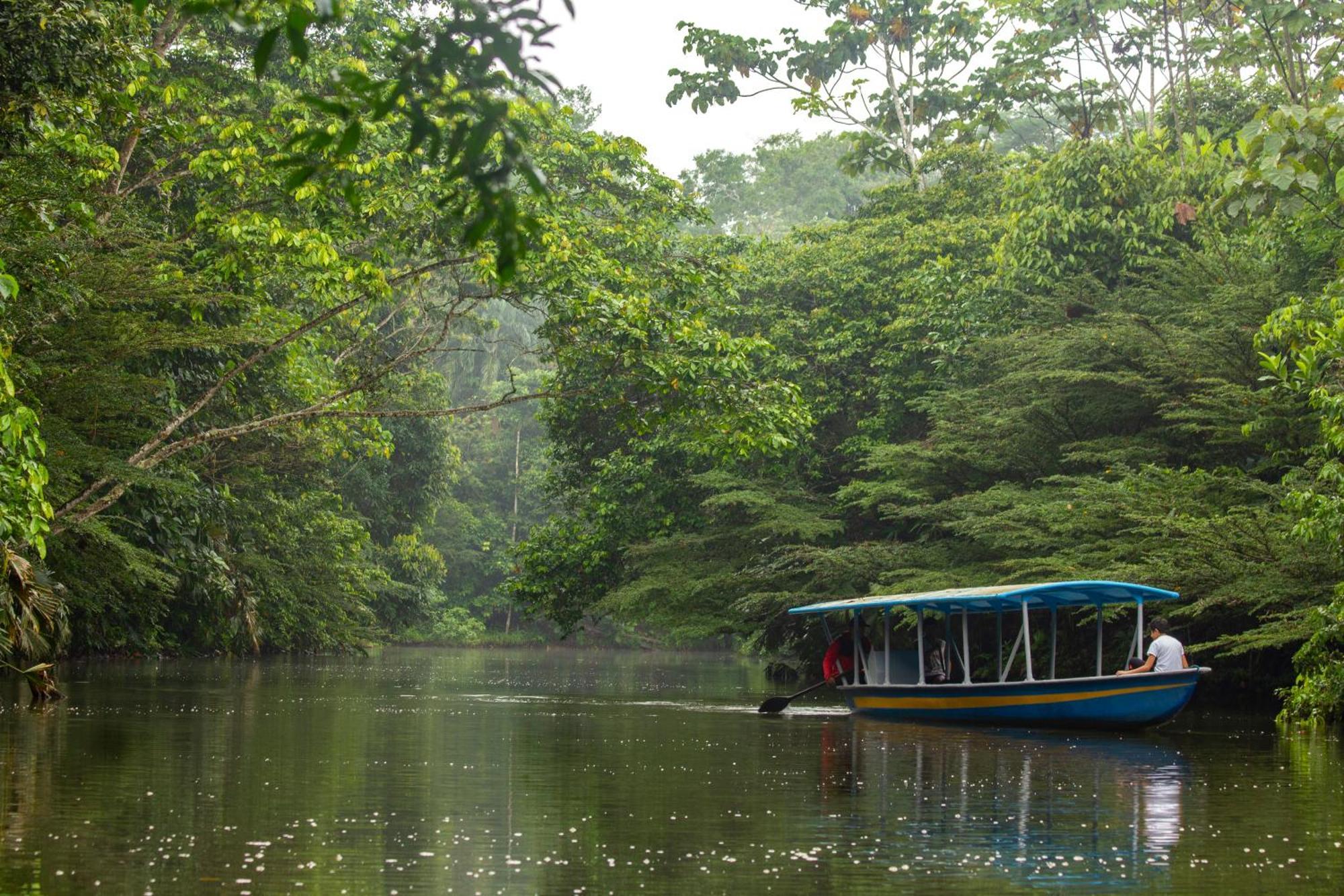 Lodge Suchipakari Amazon Eco -lodge & Jungle