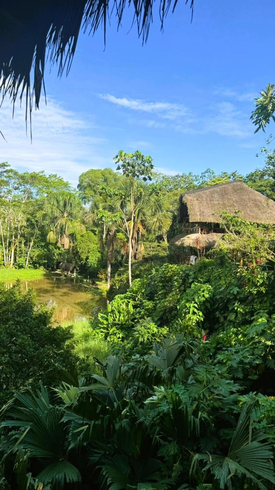 Suchipakari Amazon Eco -lodge & Jungle