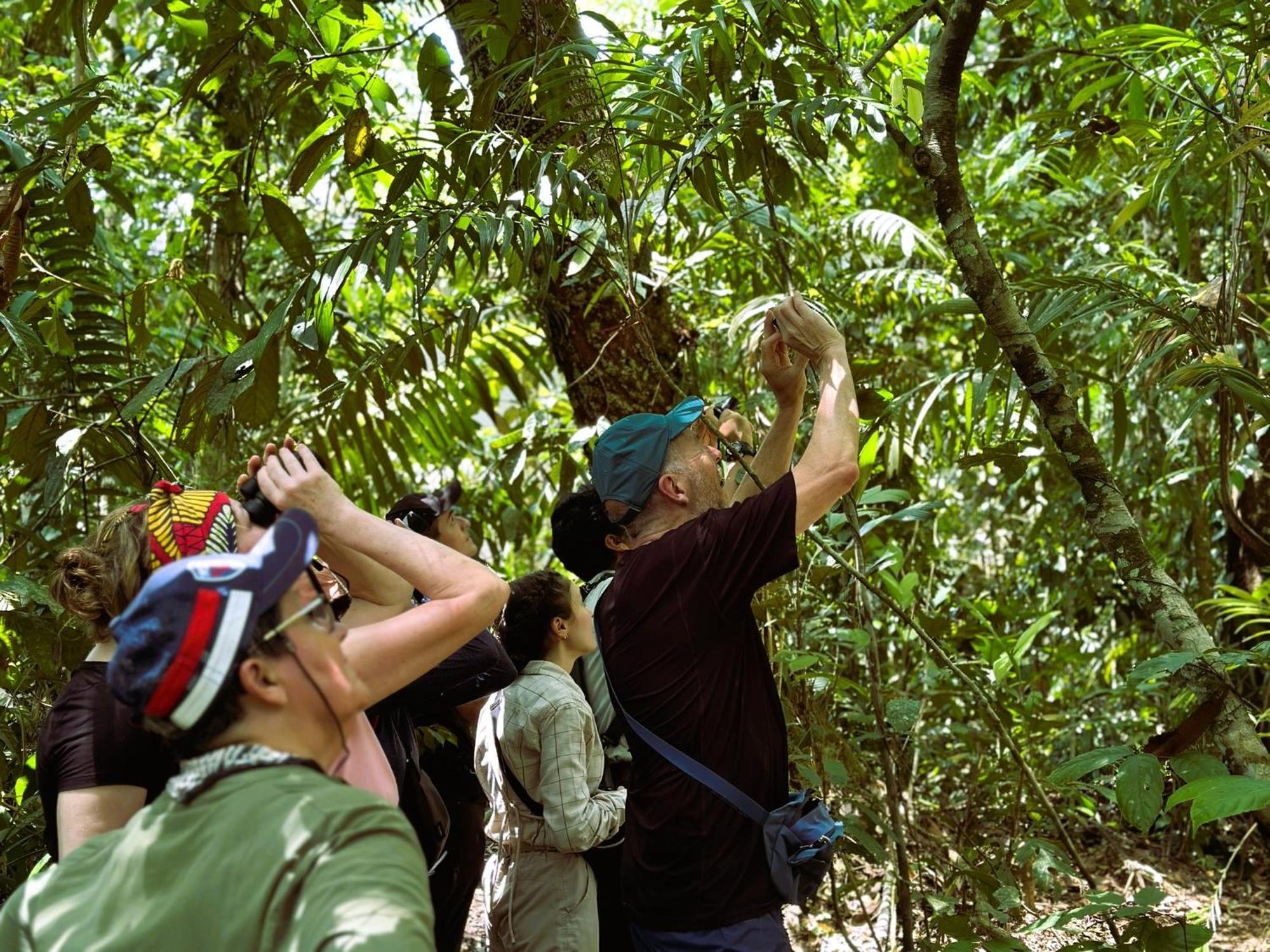 Suchipakari Amazon Eco -lodge & Jungle Lodge *