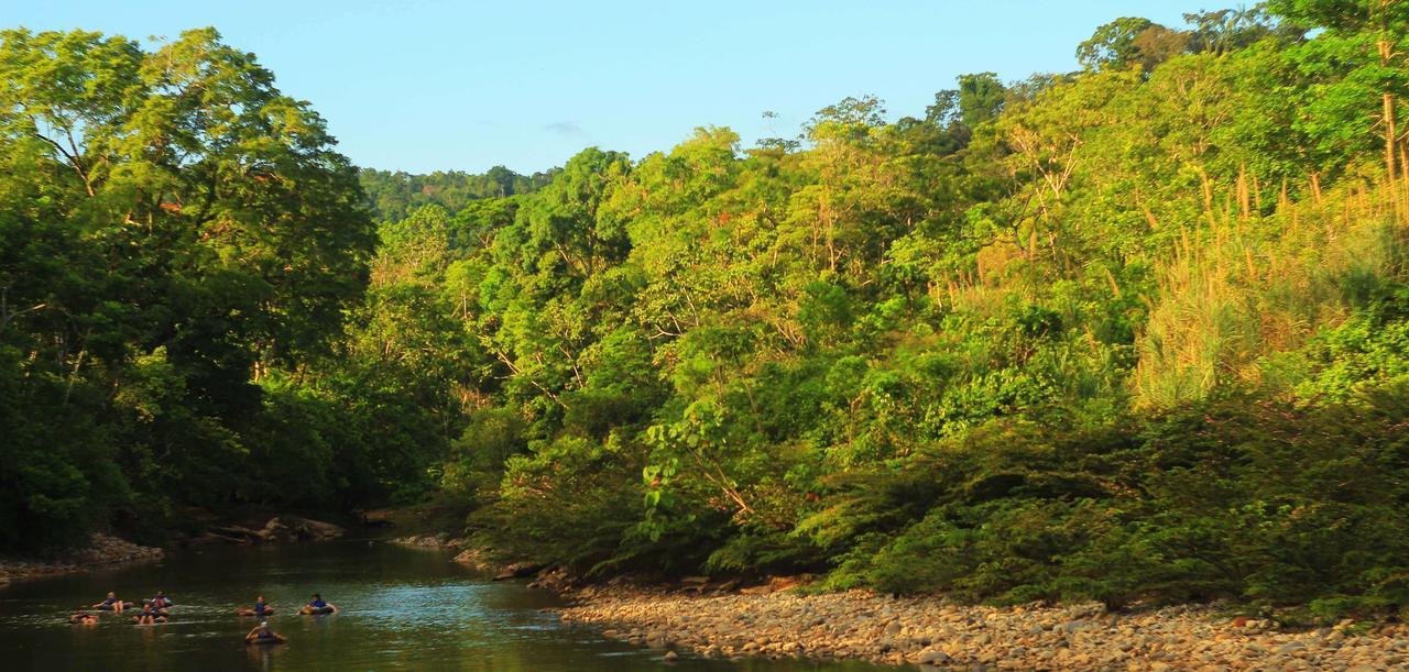 Lodge Suchipakari Amazon Eco -lodge & Jungle