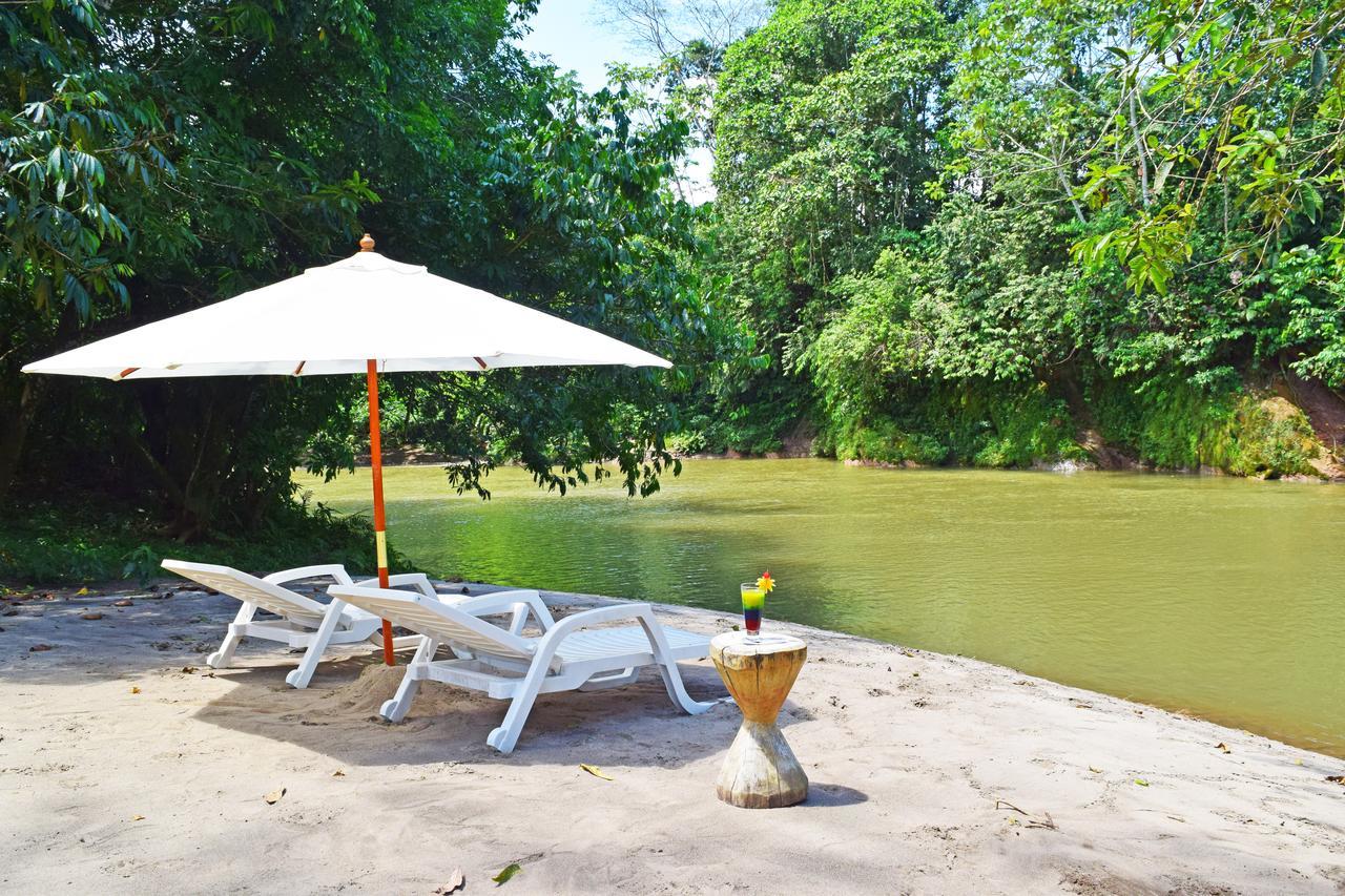 Suchipakari Amazon Eco -lodge & Jungle * Misahualli