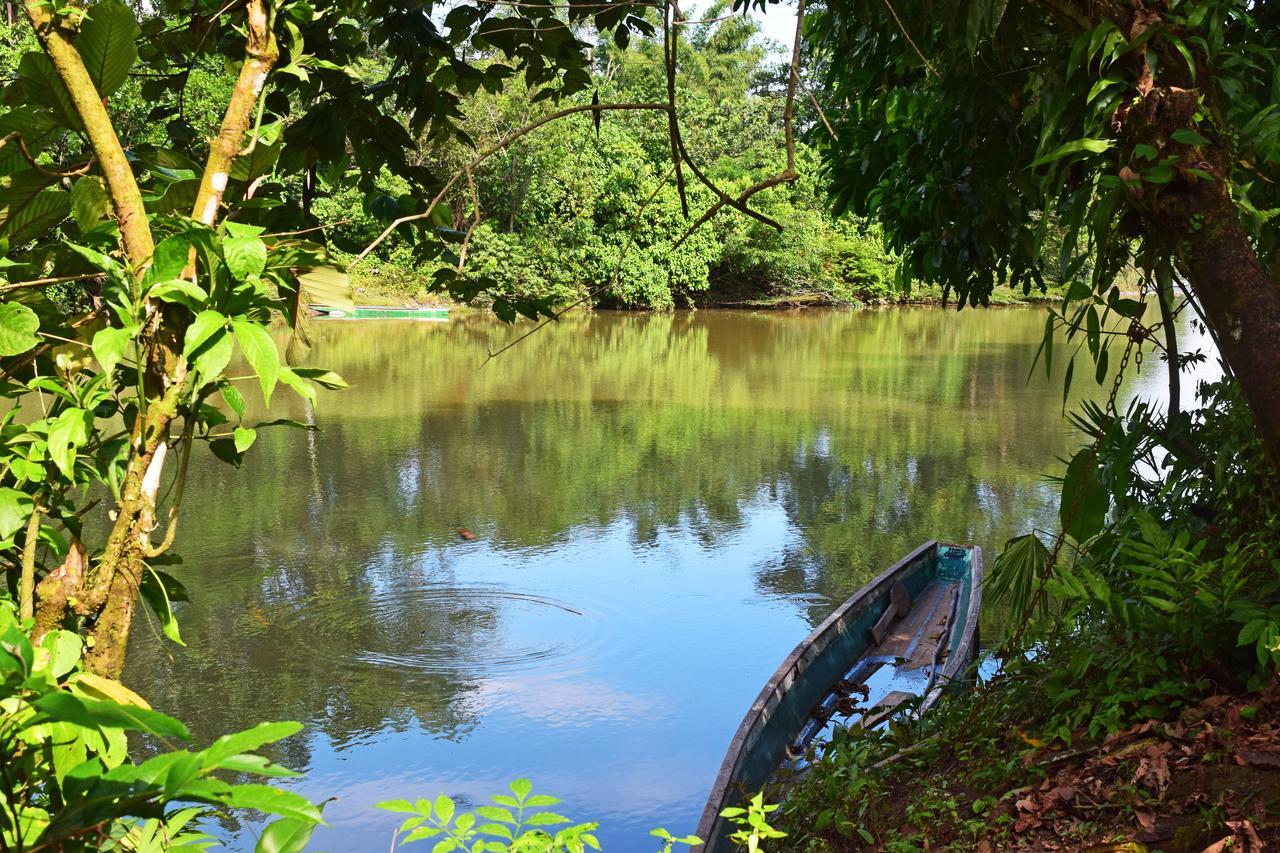 Suchipakari Amazon Eco -lodge & Jungle